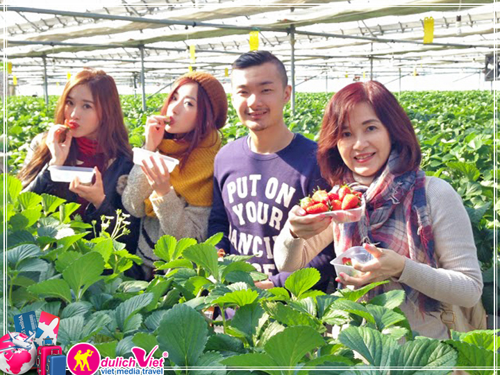 Du lịch Nhật Bản 4 ngày 3 đêm mùa Thu giá tốt 2025 từ Tp.HCM